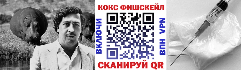 Cocaine Fish Scale Димитровград