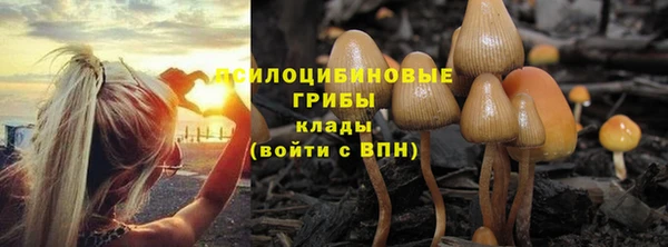 скорость Алексеевка