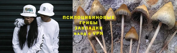 скорость Алексеевка